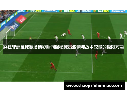 疯狂非洲足球赛场精彩瞬间揭秘球员激情与战术较量的极限对决