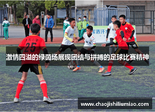 激情四溢的绿茵场展现团结与拼搏的足球比赛精神